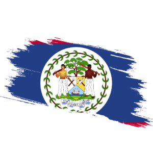 Certified Ownership Structure Chart Belize Power of Attorney and Apostille Signature and online content notarization Belize