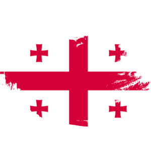 Signature notarization Georgia