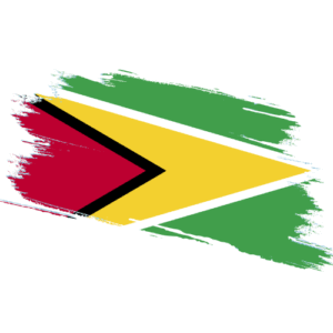 Signature and online content notarization Guyana