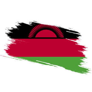 Malawi Certified Ownership Structure Chart Power of attorney and Apostille Malawi Signature and online content notarization Malawi