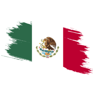 Signature and online content notarization Mexico
