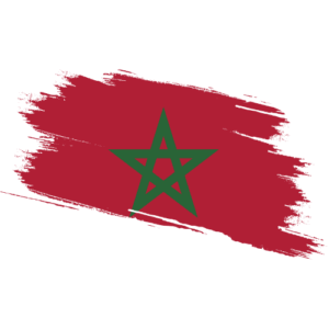 Morocco- [ ] Certified Ownership Structure Chart Power of Attorney and Apostille Morocco Signature and online content notarization Morocco