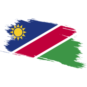Namibia Certified Ownership Structure Chart Power of attorney and Apostille Namibia Signature and online content notarization Namibia