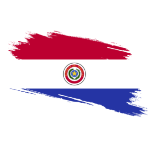 Paraguay Certified Ownership Structure Chart Power of attorney and Apostille Paraguay Signature and online content notarization Paraguay