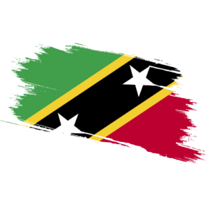 Saint Kitts and Nevis Certified Ownership Structure Chart Power of Attorney and Apostille Saint Kitts and Nevis Signature and online content notarization Saint Kittis and Nevis