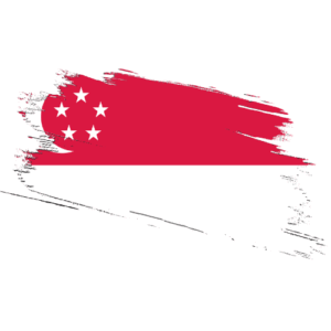 Singapore Certified Ownership Structure Chart Power of Attorney Apostille Singapore Signature and online content notarization Singapore