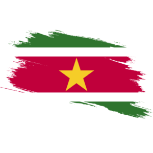 Suriname Certified Ownership Structure Chart Power of Attorney and Apostille Suriname Signature and online content notarization Suriname