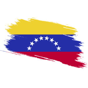Venezuela Certified Ownership Structure Chart Power of Attorney and Apostille Venezuela Signature and online content notarization Venezuela