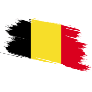 Power of Attorney Certified Ownership Structure Chart Belgium Belgium Signature and online content notarization Belgium