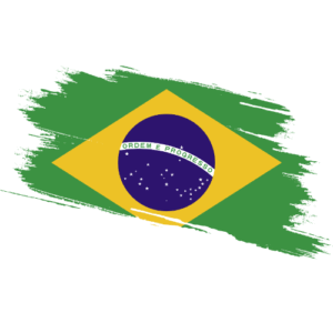 Brazil Certified Ownership Structure Chart Power of Attorney and Apostille Brazil Signature and online content notarization Brazil
