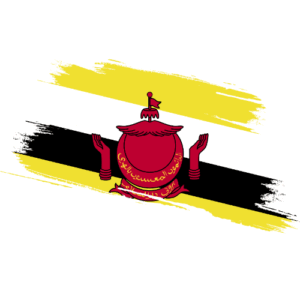 Certified Ownership Structure Chart Brunei Power of Attorney and Apostille Brunei Signature and online content notarization Brunei