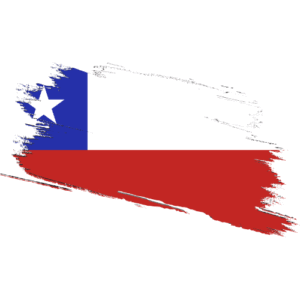 Chile Certified Ownership Structure Chart Power of Attorney and Apostille Chile Signature and online content notarization Chile