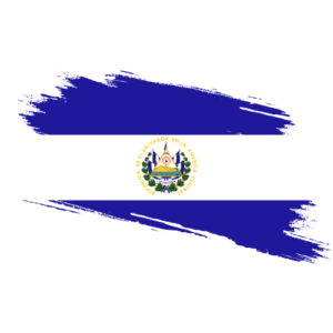El Salvador Certified Ownership Structure Chart Power of Attorneyu El Salvador and Apostille Signature and online content notarization El Salvador