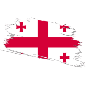 Georgia Certified Ownership Structure Chart Power of Attorney and Apostille Georgia Signature and online content notarization Georgia