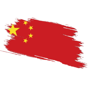 China Certified Ownership Structure Chart Power of Attorney China