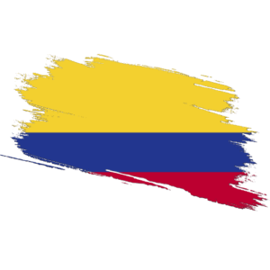 Colombia Certified Ownership Structure Chart Power of Attorney and Apostille Colombia