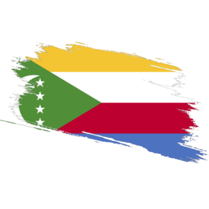 Comoros Certified Ownership Structure Chart Power of Attorney Comoros