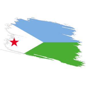 Djibouti Certified Ownership Structure Chart Power of Attorney Djibouti