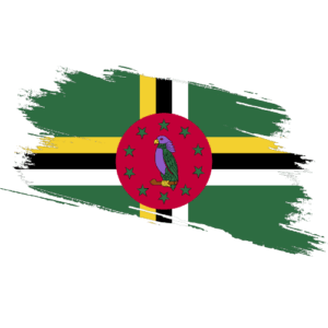 Dominica Certified Ownership Structure Chart Power of Attorney Dominican