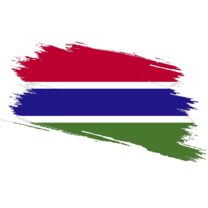 Gambia Certified Ownership Structure Chart Power of attorney Gambia