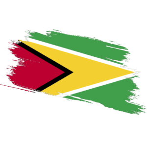 Guyana Certified Ownership Structure Chart Power of Attorney and Apostille Guyana