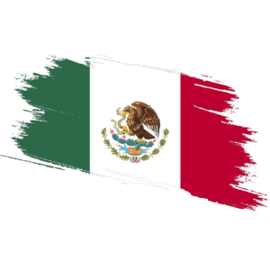 Mexico Certified Ownership Structure Chart Power of attorney and apostille Mexico