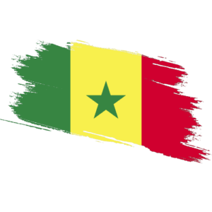 Senegal Certified Ownership Structure Chart Power of Attorney and Apostille Senegal