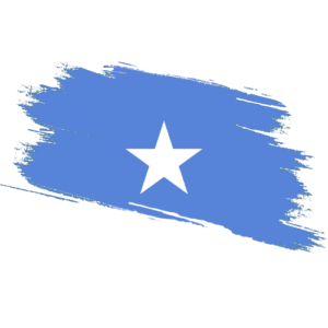 Somalia Certified Ownership Structure Chart Power of Attorney Somalia