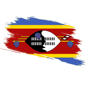 Eswatini Certified Ownership Structure Chart Apostille Service Eswatini