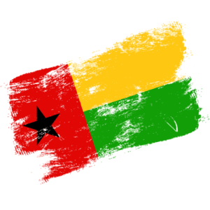 Certified Ownership Structure Chart Guinea-Bissau