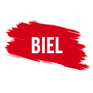 Power of attorney Biel